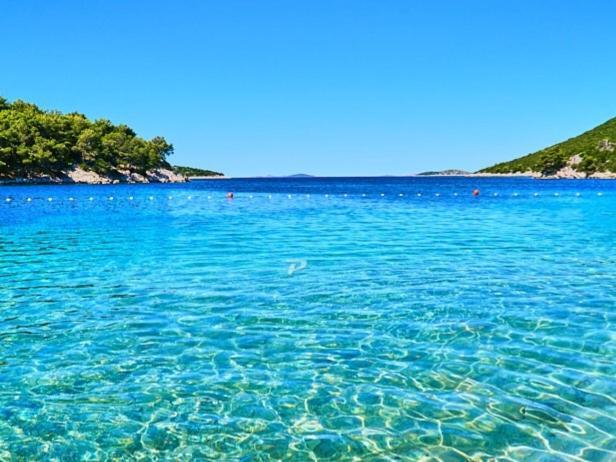 Captain'S Lodge Tribalj Dış mekan fotoğraf